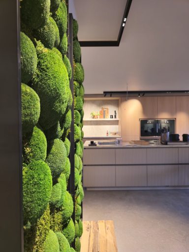 Wand mit grünen Moosballen, moderner Innenraum im Hintergrund.